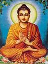 Buddha Avatar Image
