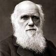 Charles Darwin Avatar Image